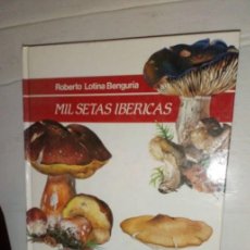 Libros de segunda mano: MIL SETAS IBERICAS -ROBERTO LOTINA BENGURÍA -BIZKAIKO FORU ALDUNDIA DIPUTACIÓN FORAL DE VIZCAYA 1985. Lote 399791309