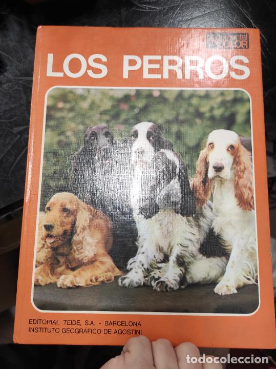 Libros de segunda mano: LOS PERROS - ADRIANO TORREGROSSA - EDITORIAL TEIDE - DOCUMENTAL EN COLOR - Foto 1