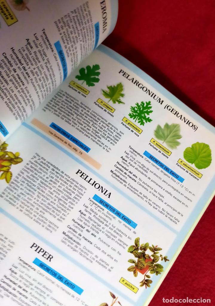 Libros de segunda mano: EL EXPERTO EN PLANTAS DE INTERIOR, - Foto 6