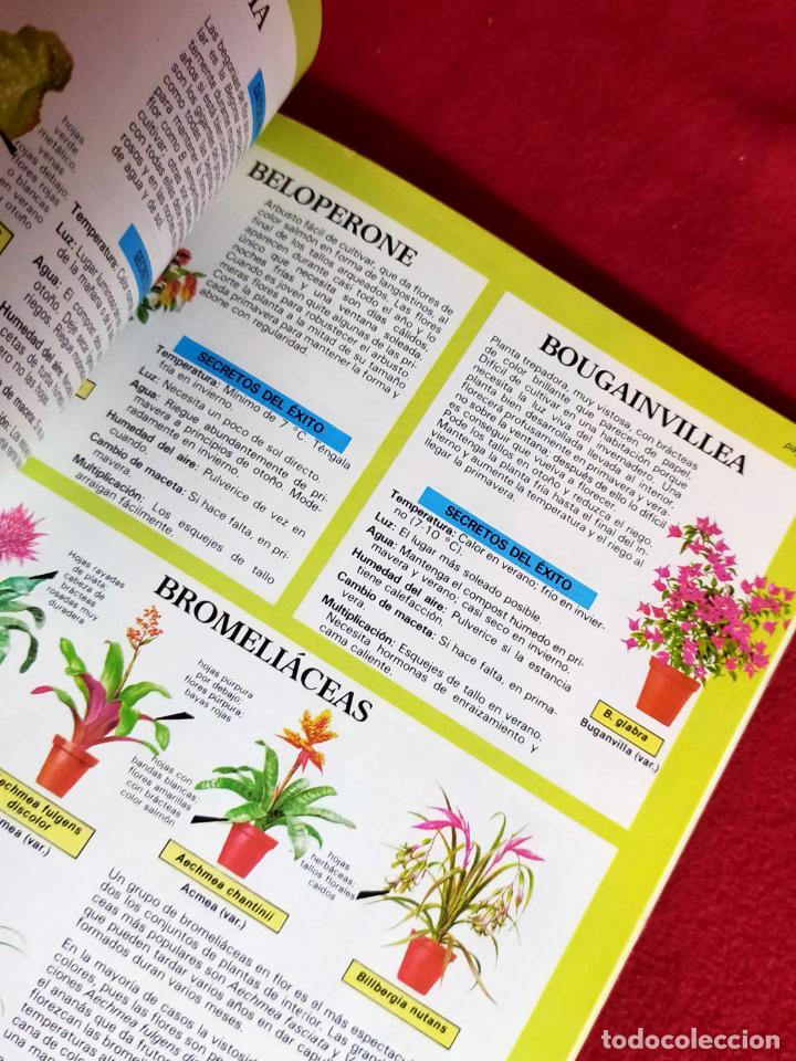 Libros de segunda mano: EL EXPERTO EN PLANTAS DE INTERIOR, - Foto 8