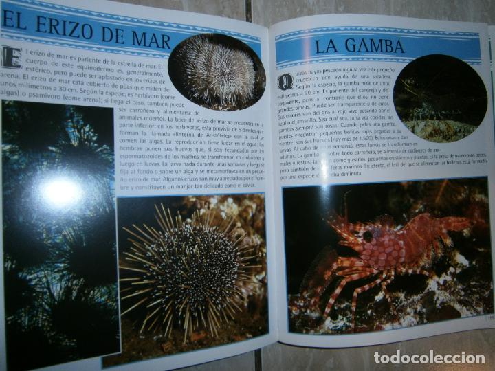 Libros de segunda mano: ESPECTACULAR LIBRO - ENCICLOPEDIA DE LOS ANIMALES - LC4 - Foto 2