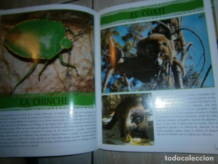 Libros de segunda mano: ESPECTACULAR LIBRO - ENCICLOPEDIA DE LOS ANIMALES - LC4 - Foto 3