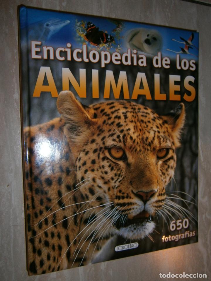 Libros de segunda mano: ESPECTACULAR LIBRO - ENCICLOPEDIA DE LOS ANIMALES - LC4 - Foto 1
