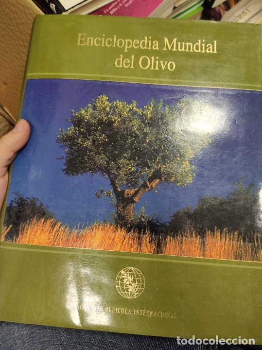 Libros de segunda mano: Enciclopedia mundial del olivo. Consejo ole&iacute;cola internacional.