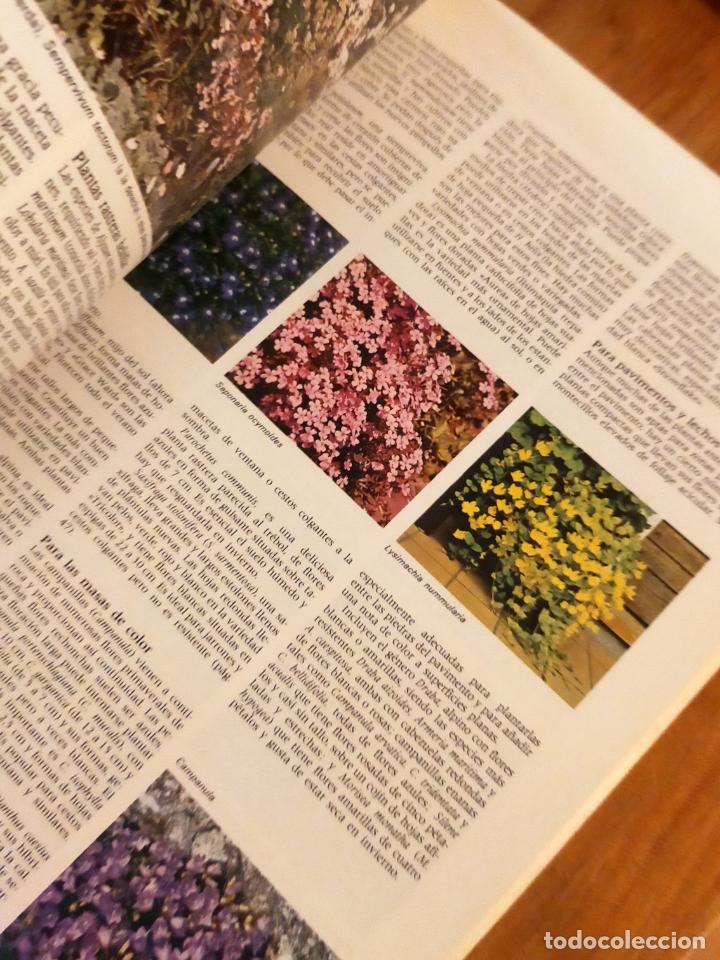Libros de segunda mano: EL JARDIN EN CASA - Foto 3