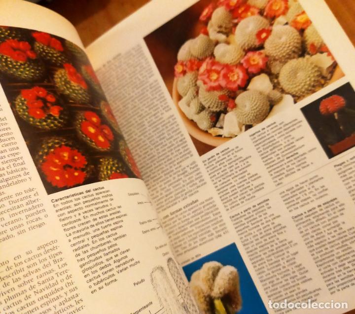 Libros de segunda mano: EL JARDIN EN CASA - Foto 4
