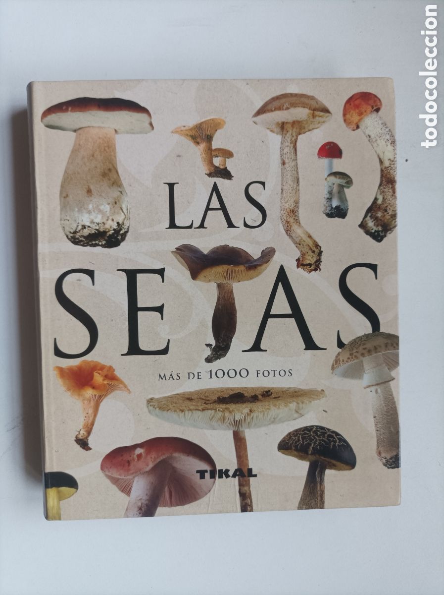 Libros de segunda mano: LAS SETAS (M&Aacute;S DE 1000 FOTOS) / J.L. LAMAISON Y J.M. POLESE. TIKAL-SUSAETA