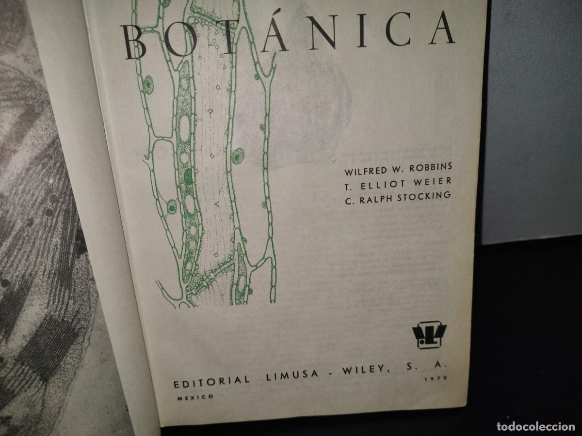 Libros de segunda mano: 69- BOT&Aacute;NICA - WILFERD W. ROBBINS - Foto 4