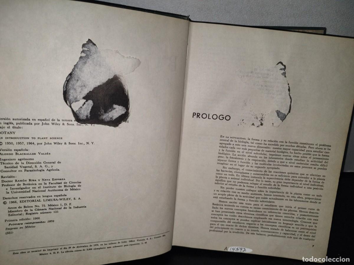 Libros de segunda mano: 69- BOT&Aacute;NICA - WILFERD W. ROBBINS - Foto 5