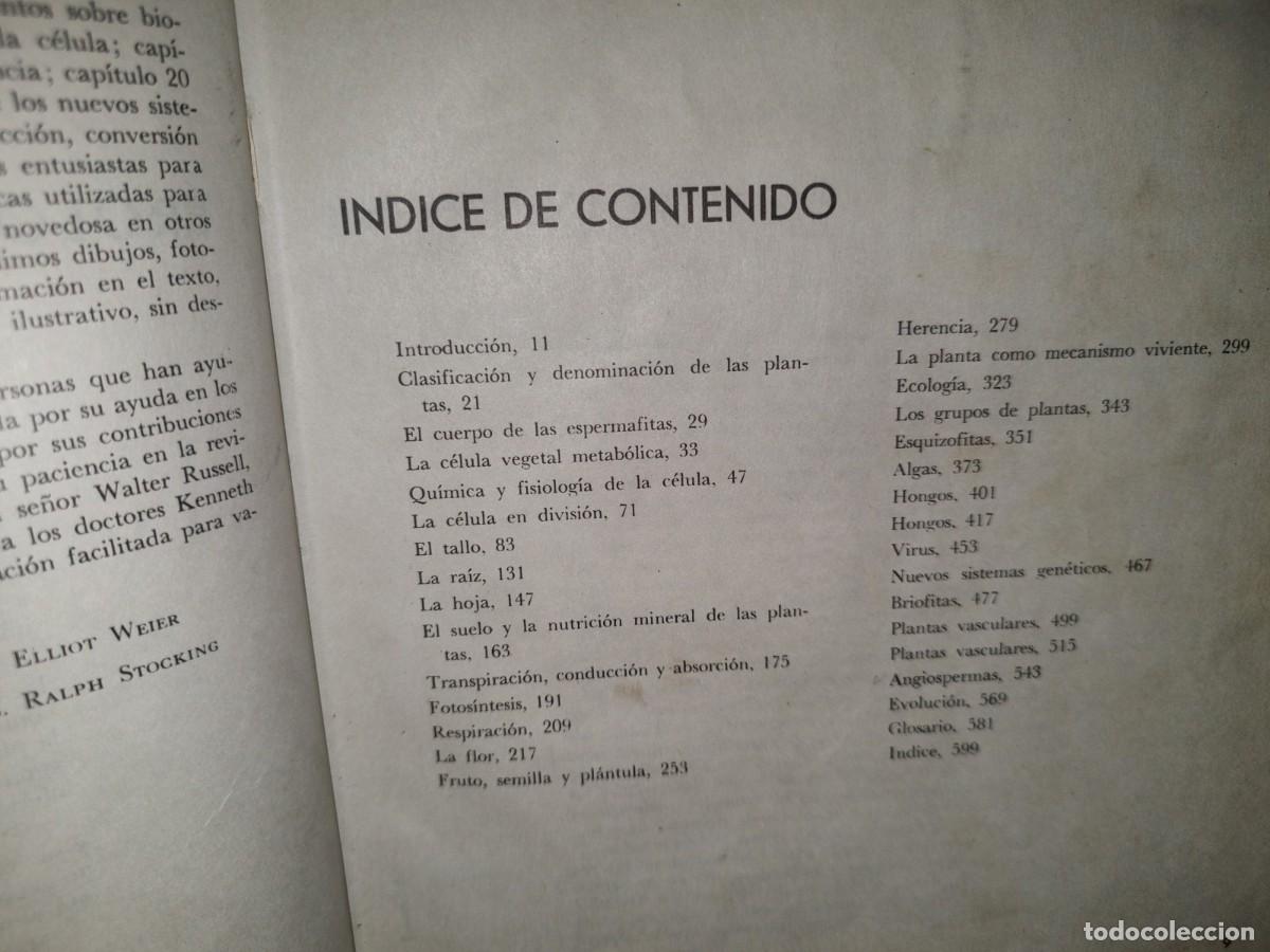Libros de segunda mano: 69- BOT&Aacute;NICA - WILFERD W. ROBBINS - Foto 7