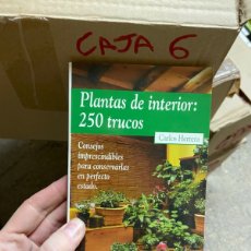 Libros de segunda mano: CAJA6 PLANTAS DE INTERIOR: 250 TRUCOS CARLOS HERRERA. Lote 400911134