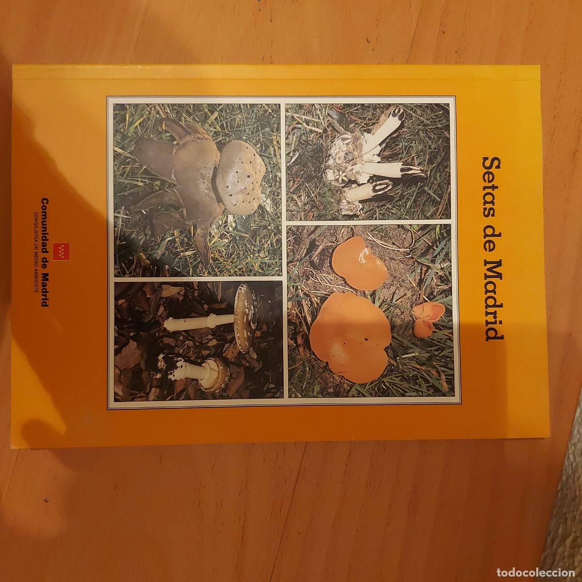 Libros de segunda mano: SETAS DE MADRID FRANCISCO DIEGO CALONGE - Foto 1