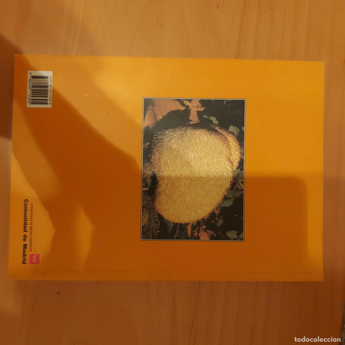 Libros de segunda mano: SETAS DE MADRID FRANCISCO DIEGO CALONGE - Foto 2