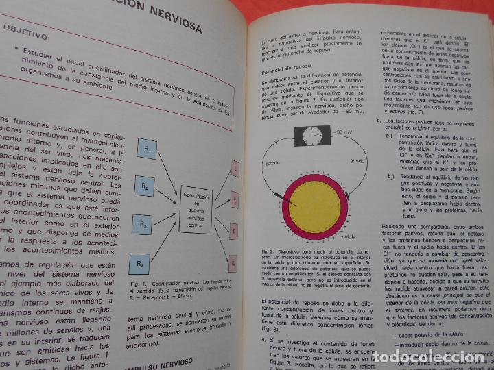 Libros de segunda mano: BIOLOGIA EDITORIAL EDELVIVES - Foto 2