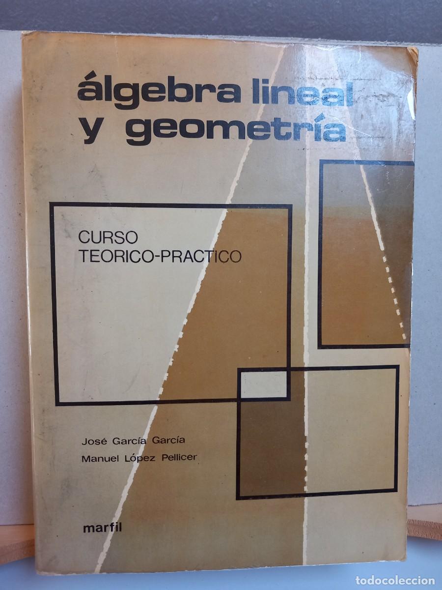 Libros de segunda mano de ciencias: &Aacute;LGEBRA LINEAL Y GEOMETR&Iacute;A. Curso te&oacute;rico-pr&aacute;ctico. MARFIL - Foto 1