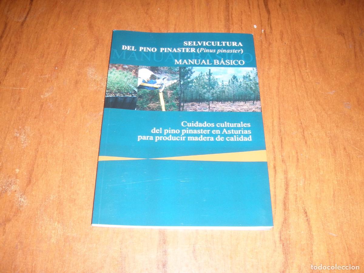 Libros de segunda mano: SELVICULTURA DEL PINO PINASTER - Foto 1