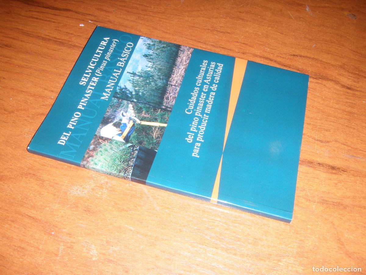 Libros de segunda mano: SELVICULTURA DEL PINO PINASTER - Foto 2