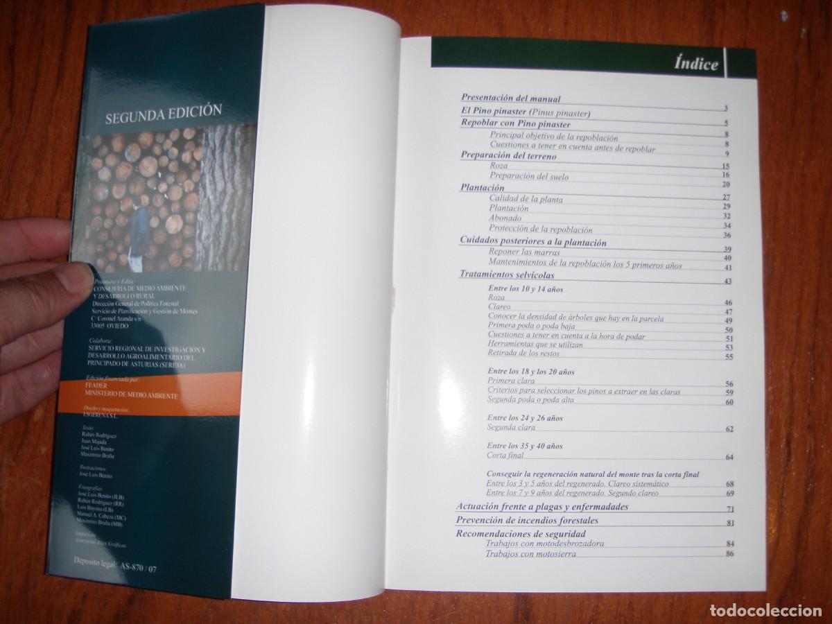 Libros de segunda mano: SELVICULTURA DEL PINO PINASTER - Foto 3