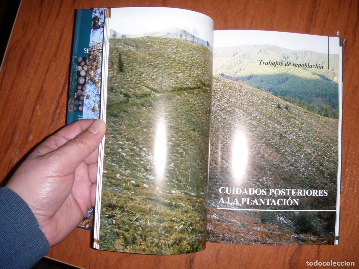 Libros de segunda mano: SELVICULTURA DEL PINO PINASTER - Foto 5