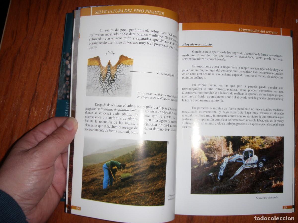 Libros de segunda mano: SELVICULTURA DEL PINO PINASTER - Foto 7