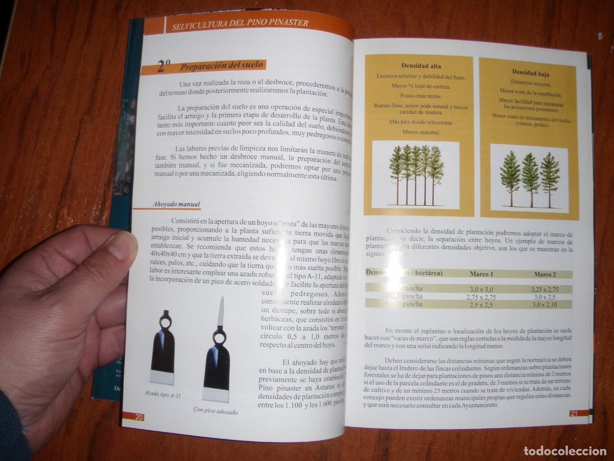 Libros de segunda mano: SELVICULTURA DEL PINO PINASTER - Foto 8