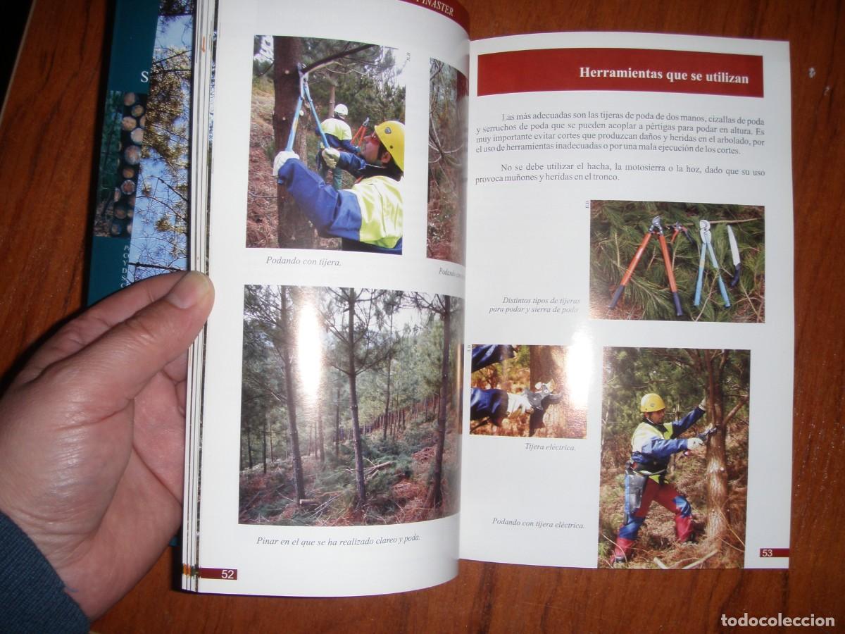 Libros de segunda mano: SELVICULTURA DEL PINO PINASTER - Foto 11