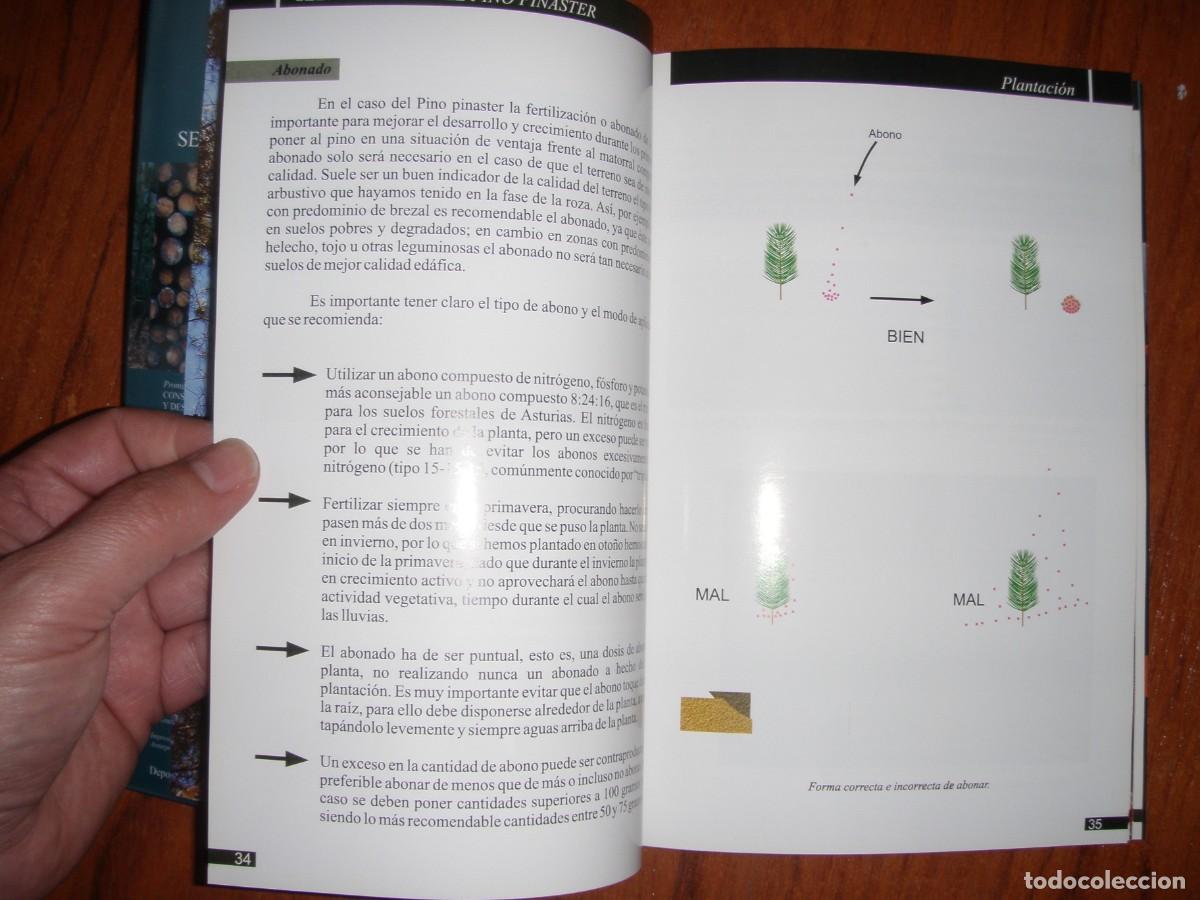 Libros de segunda mano: SELVICULTURA DEL PINO PINASTER - Foto 13