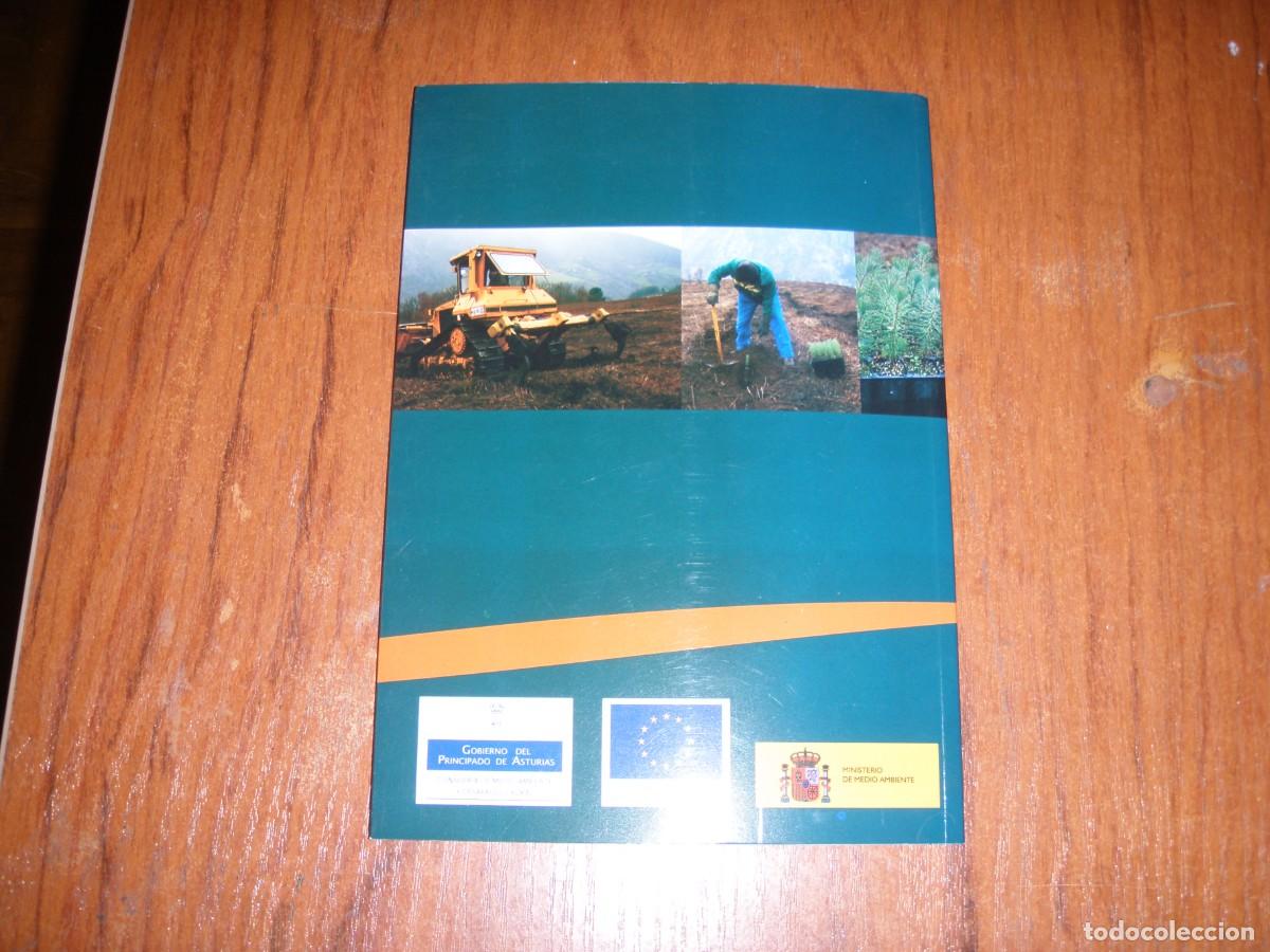 Libros de segunda mano: SELVICULTURA DEL PINO PINASTER - Foto 15