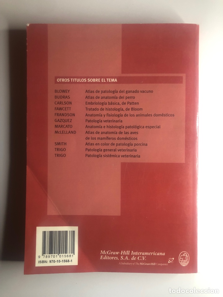 Libros de segunda mano: DISECCI&Oacute;N DEL PERRO. Miller. Cuarta Edici&oacute;n - Foto 2