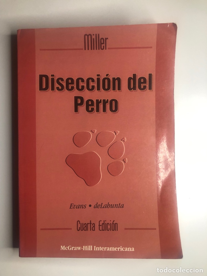 Libros de segunda mano: DISECCI&Oacute;N DEL PERRO. Miller. Cuarta Edici&oacute;n - Foto 1