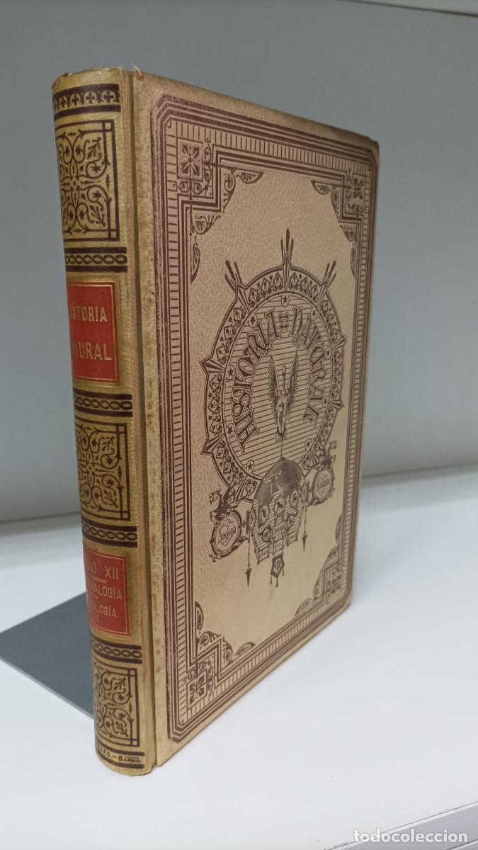 Libri di seconda mano: Historia natural: mineralog&iacute;a + geolog&iacute;a ~ Gustavo Tschermak + Archibaldo Geikie | ed.Montaner(1894)