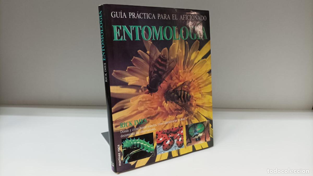 Libri di seconda mano: Gu&iacute;a pr&aacute;ctica para el aficionado de Entomolog&iacute;a (insectos) ~ Rick Imes | ed.Mart&iacute;nez Roca (1993)