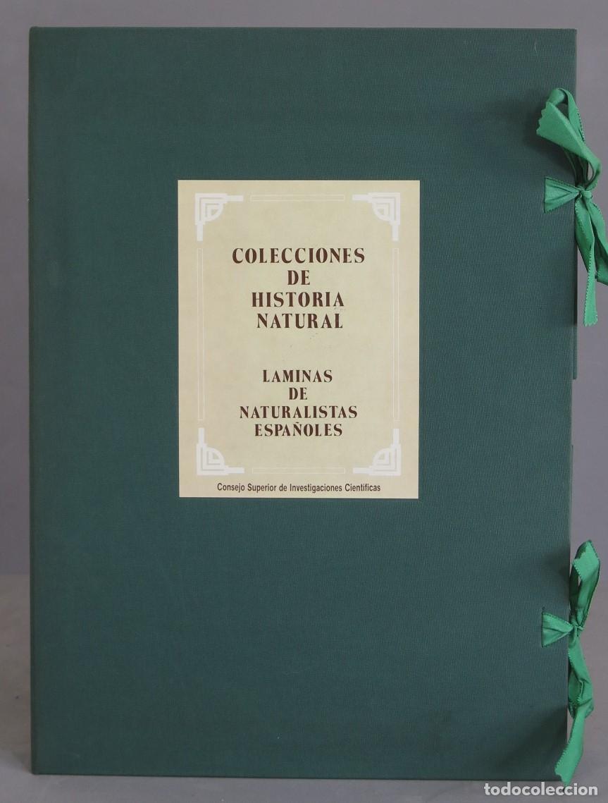 Libri di seconda mano: COLECCIONES DE HISTORIA NATURAL. LAMINAS DE NATURALISTAS ESPA&Ntilde;OLES. 1992. facsimil