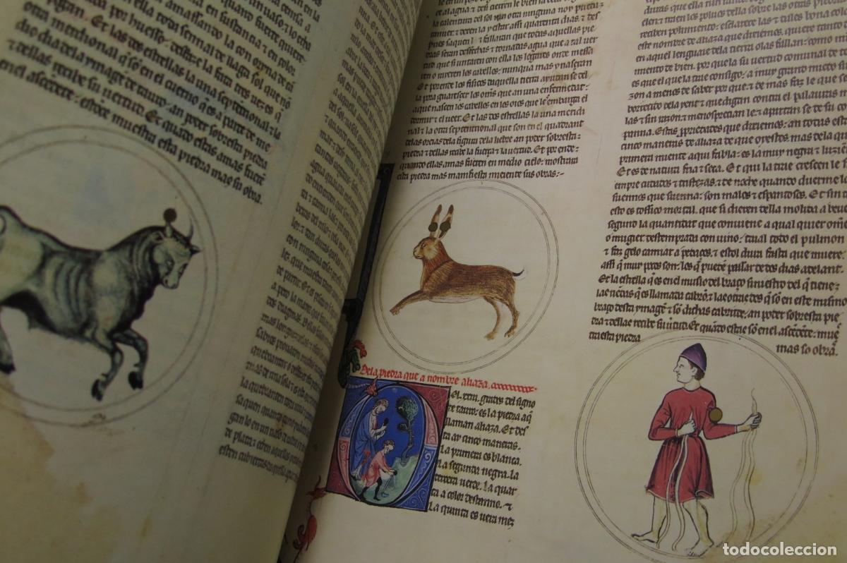 Libros de segunda mano: EL PRIMER LAPIDARIO DE ALFONSO X EL SABIO. EDILLAN. FACSIMIL - Foto 4