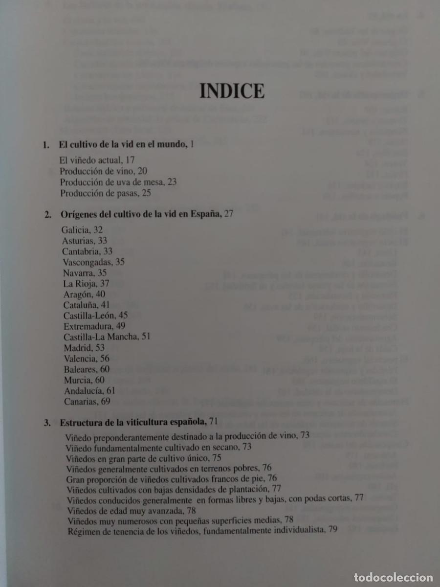 Libros de segunda mano: TRATADO DE VITICULTURA GENERAL, Luis Hidalgo. - Foto 2