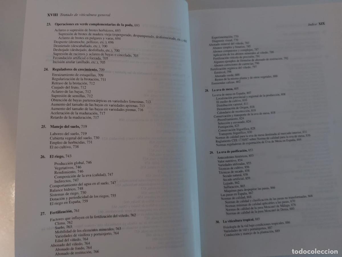 Libros de segunda mano: TRATADO DE VITICULTURA GENERAL, Luis Hidalgo. - Foto 3