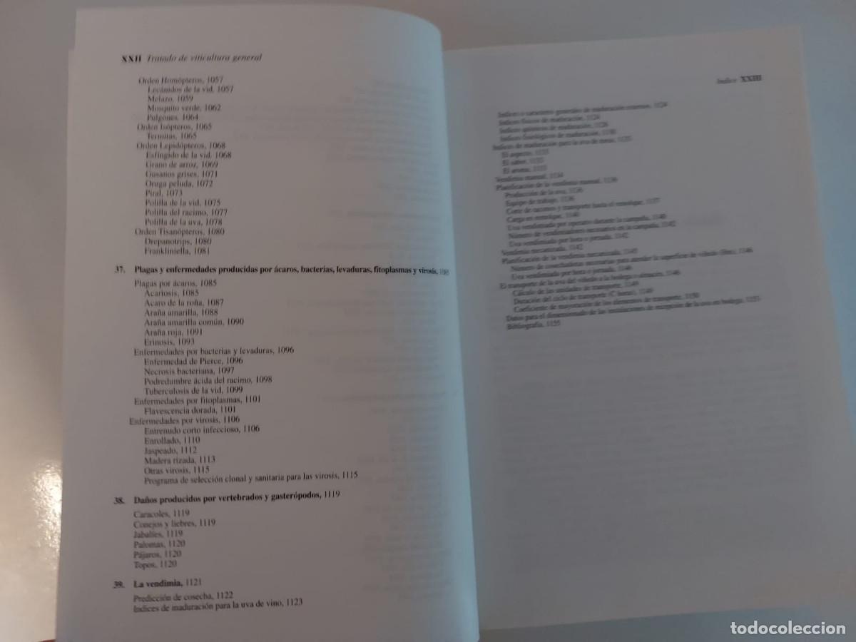 Libros de segunda mano: TRATADO DE VITICULTURA GENERAL, Luis Hidalgo. - Foto 6