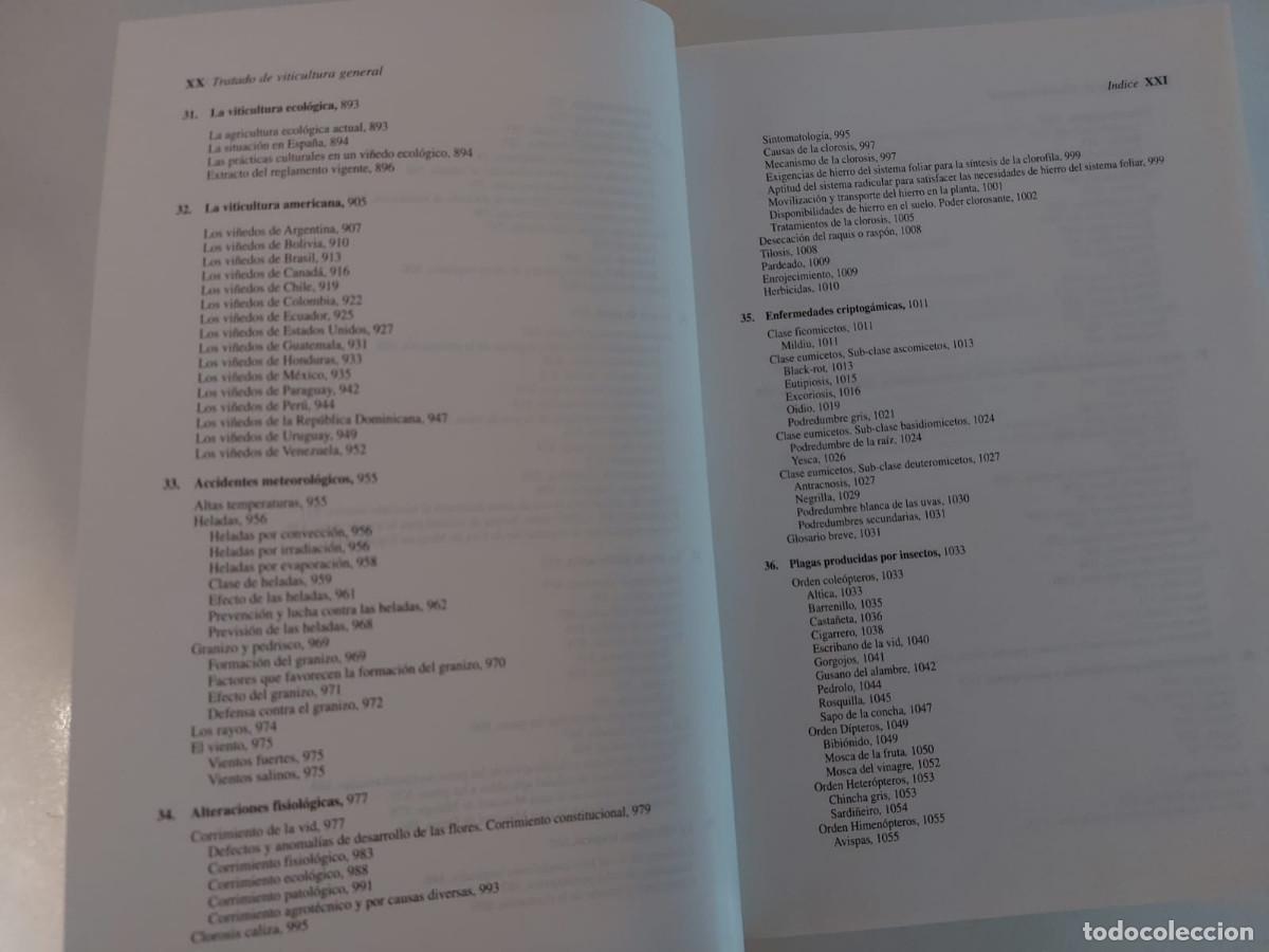 Libros de segunda mano: TRATADO DE VITICULTURA GENERAL, Luis Hidalgo. - Foto 7
