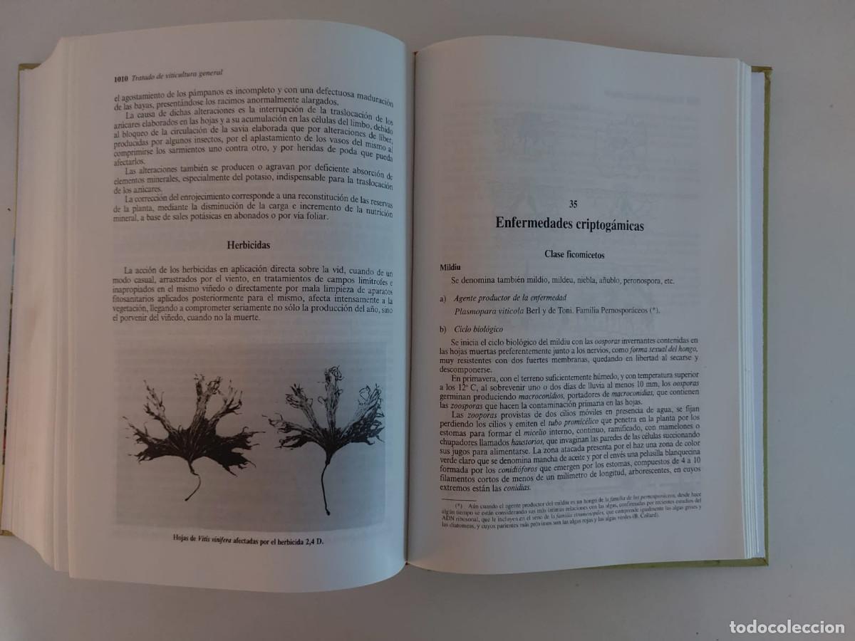 Libros de segunda mano: TRATADO DE VITICULTURA GENERAL, Luis Hidalgo. - Foto 11