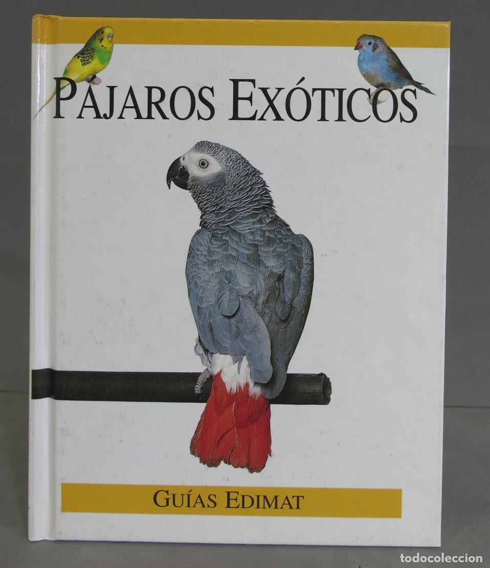 Libros de segunda mano: P&Aacute;JAROS EX&Oacute;TICOS. SEVILLANO - Foto 1