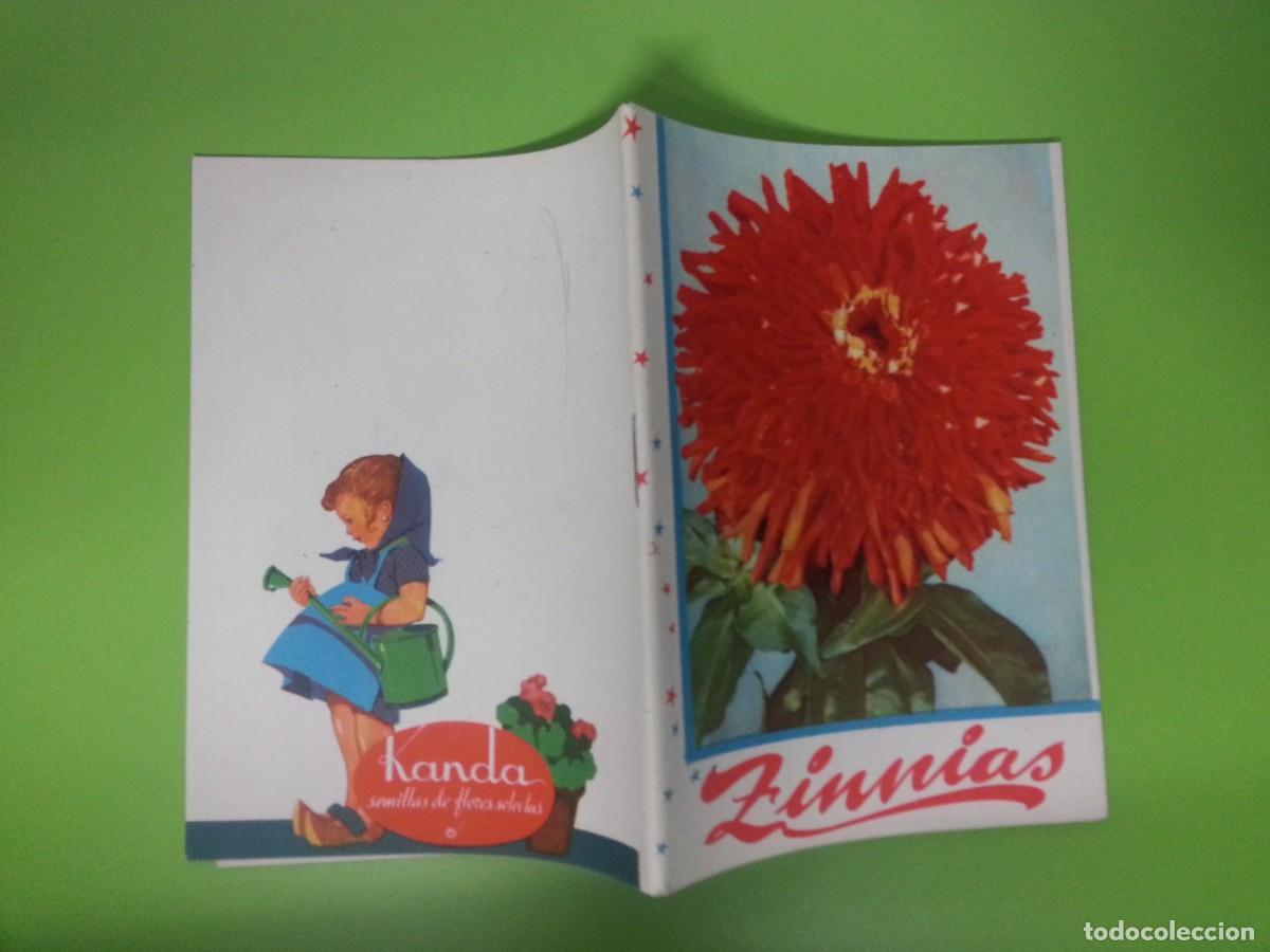 Libros de segunda mano: ZINNIAS - KANDA LA FLOR DE LAS FLORES - Foto 1