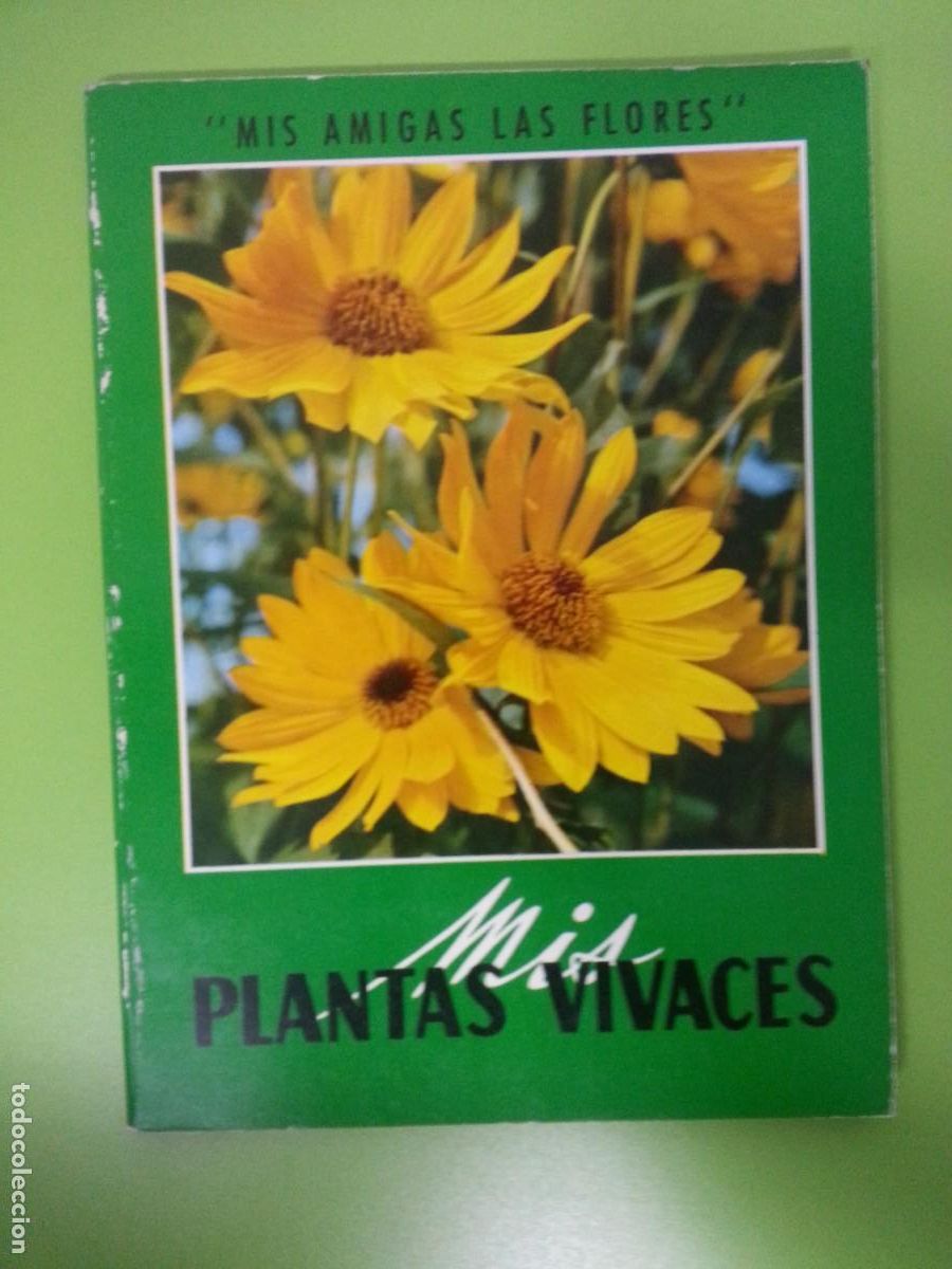 Libros de segunda mano: PLANTAS VIVACES - MIS AMIGAS LAS FLORES - Foto 1