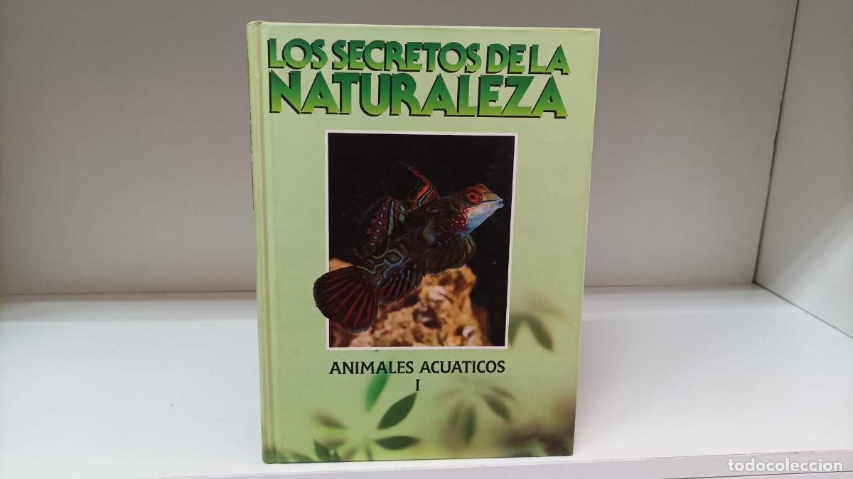 Libri di seconda mano: Los secretos de la naturaleza: animales acu&aacute;ticos I ~ Josefa Alonso | ed.Club Internacional (1993)