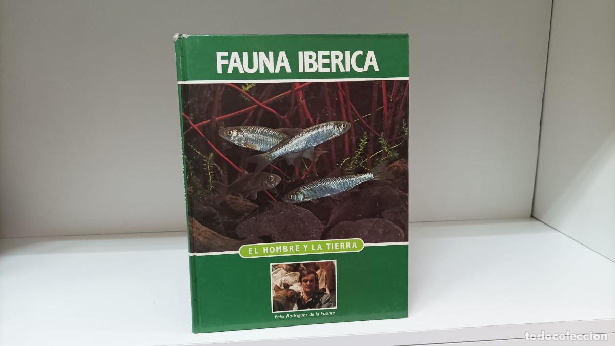 Libros de segunda mano: El hombre y la Tierra: Fauna ib&eacute;rica y europea 14 ~ F&eacute;lix Rodr&iacute;guez de la Fuente | ed.Salvat (1992)
