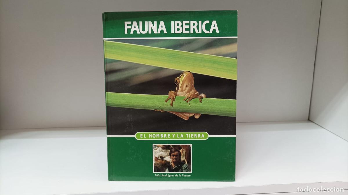 Libros de segunda mano: El hombre y la Tierra: Fauna ib&eacute;rica y europea 16 ~ F&eacute;lix Rodr&iacute;guez de la Fuente | ed.Salvat (1992)