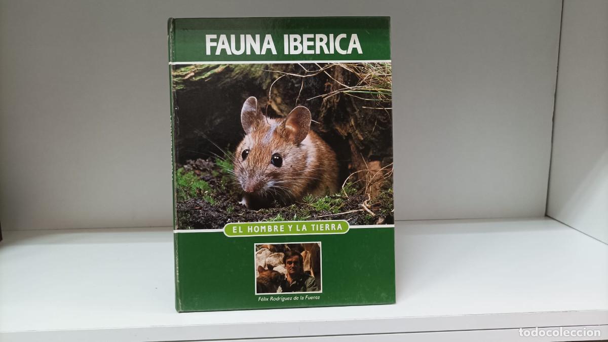 Libros de segunda mano: El hombre y la Tierra: Fauna ib&eacute;rica y europea 17 ~ F&eacute;lix Rodr&iacute;guez de la Fuente | ed.Salvat (1992)