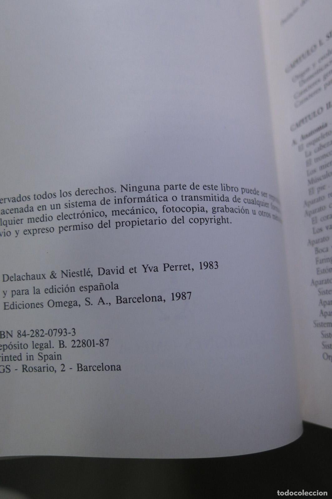 Libros de segunda mano: GUIA DEL CABALLO Y DEL PONEY. H.L. BLANC - Foto 2