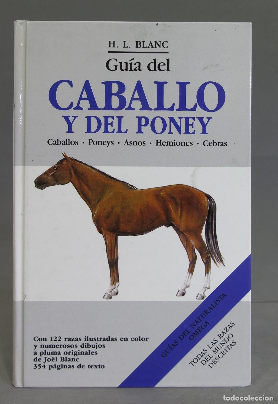 Libros de segunda mano: GUIA DEL CABALLO Y DEL PONEY. H.L. BLANC - Foto 1