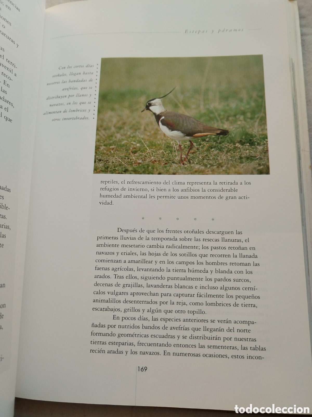 Libros de segunda mano: LA ESPA&Ntilde;A SALVAJE/BORJA CARDELUS - Foto 3