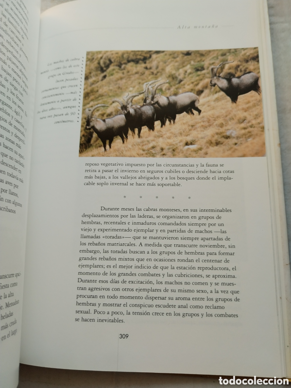 Libros de segunda mano: LA ESPA&Ntilde;A SALVAJE/BORJA CARDELUS - Foto 4